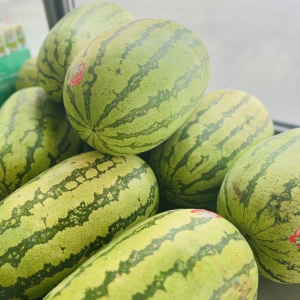  �������µļ��أ�4688����÷��ľ�������������¾��������ѡ�